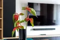 Wohnung 3 zimmer 75 m² in Warschau, Polen