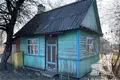 Haus 33 m² Vielikarycki sielski Saviet, Belarus