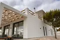 4 bedroom Villa 283 m² el Pinos Pinoso, Spain
