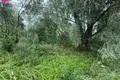 Land  Digriai, Lithuania