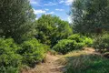 Atterrir 11 000 m² Megali Panagia, Grèce