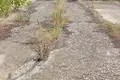 Commercial property 6 000 m² in Ovidiopol, Ukraine