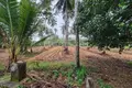 Parcelas  Thalang, Tailandia