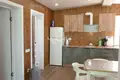 Haus 52 m² Gorodetsky District, Russland