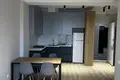 Квартира 2 комнаты 52 м² в Тбилиси, Грузия