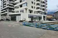 Propiedad comercial 180 m² en Bjelisi, Montenegro