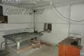 Warehouse 132 m² in Carnaucycy, Belarus