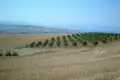 Земельные участки 1 комната  Aristotle Municipality, Греция