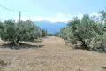 Land 1 room  Leptokarya, Greece
