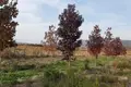 Land  Khoni, Georgia
