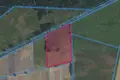 Apartment 35 858 m² Kotusz, Poland