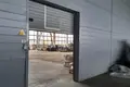 Produktion 9 999 m² Jalizauski sielski Saviet, Belarus