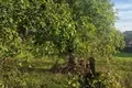 Land  Ukmerge, Lithuania
