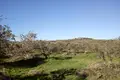 Land  Kalyves, Greece