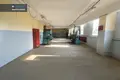 Gewerbefläche 1 135 m² in Hannusburg, Litauen