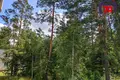 2 room apartment 43 m² Akolica, Belarus
