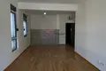 Wohnung 1 zimmer 67 m² Podgorica, Montenegro