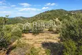 Atterrir 7 700 m² Pyrgadikia, Grèce