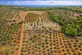 Parcelas 5 035 m² Nikiti, Grecia