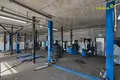Коммерческое помещение 248 м² Минск, Беларусь