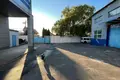 Gewerbefläche 2 244 m² Nowa Dofiniwka, Ukraine