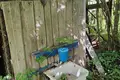 Дом  Плещеницкий сельский Совет, Беларусь