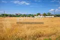 Parcelas 3 221 m² Nea Potidea, Grecia