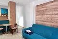 1 bedroom apartment  in Budva, Montenegro