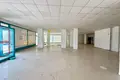 Geschäft 1 zimmer 900 m² in Kestel, Türkei
