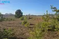 Parcelas  Strazdiskes, Lituania