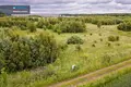 Land  Dirvupiai, Lithuania