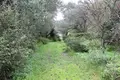 Земельные участки 1 комната 5 000 м² Municipality of Northern Corfu, Греция
