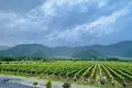 🍇 Operating Winery for Sale in Kakheti – Ideal Business Investment!