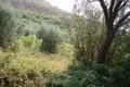 Atterrir 2 910 m² Rijeka Rezevici, Monténégro