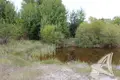 Parcelas  Brest, Belarús