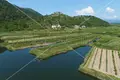 Działki 42 253 m² Mihalj, Chorwacja