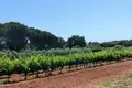 Willa 4 pokoi 240 m² Opcina Medulin, Chorwacja