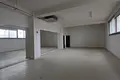 Propriété commerciale 1 780 m² à Nicosie, Chypre