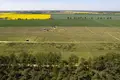 Land 1 405 m² Nieczajna, Poland