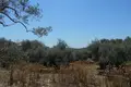 Parcelas  Thassos Municipality, Grecia
