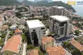 Developer project