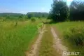 Parcelas  Krasnienski sielski Saviet, Belarús