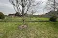 House 42 m² Nemanica, Belarus