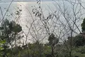 Land 804 m² Bar, Montenegro