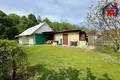 House 48 m² Viasiejski sielski Saviet, Belarus
