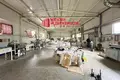 Manufacture 1 351 m² in Kapciouski sielski Saviet, Belarus
