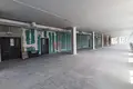 Commercial property 750 m² in Minsk, Belarus