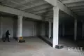 Warehouse 4 rooms 300 m² in Stańkaŭski sieĺski Saviet, Belarus