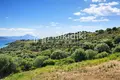 Земельные участки 11 000 м² Амолиани/Амулиани/Амульяни/Аммулияни, Греция
