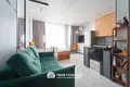 1 bedroom apartment 28 m² Minsk, Belarus